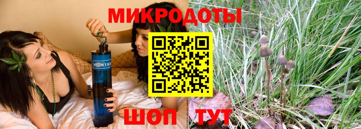 Клинцы  Галлюциногенные грибы Magic Shrooms  сколько стоит  Вход с VPN 
